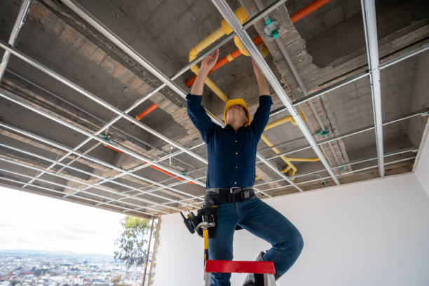 Best Affordable Plumbing Services  in Humansville, MO